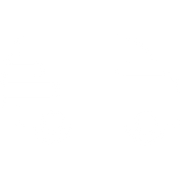Fast Delivery